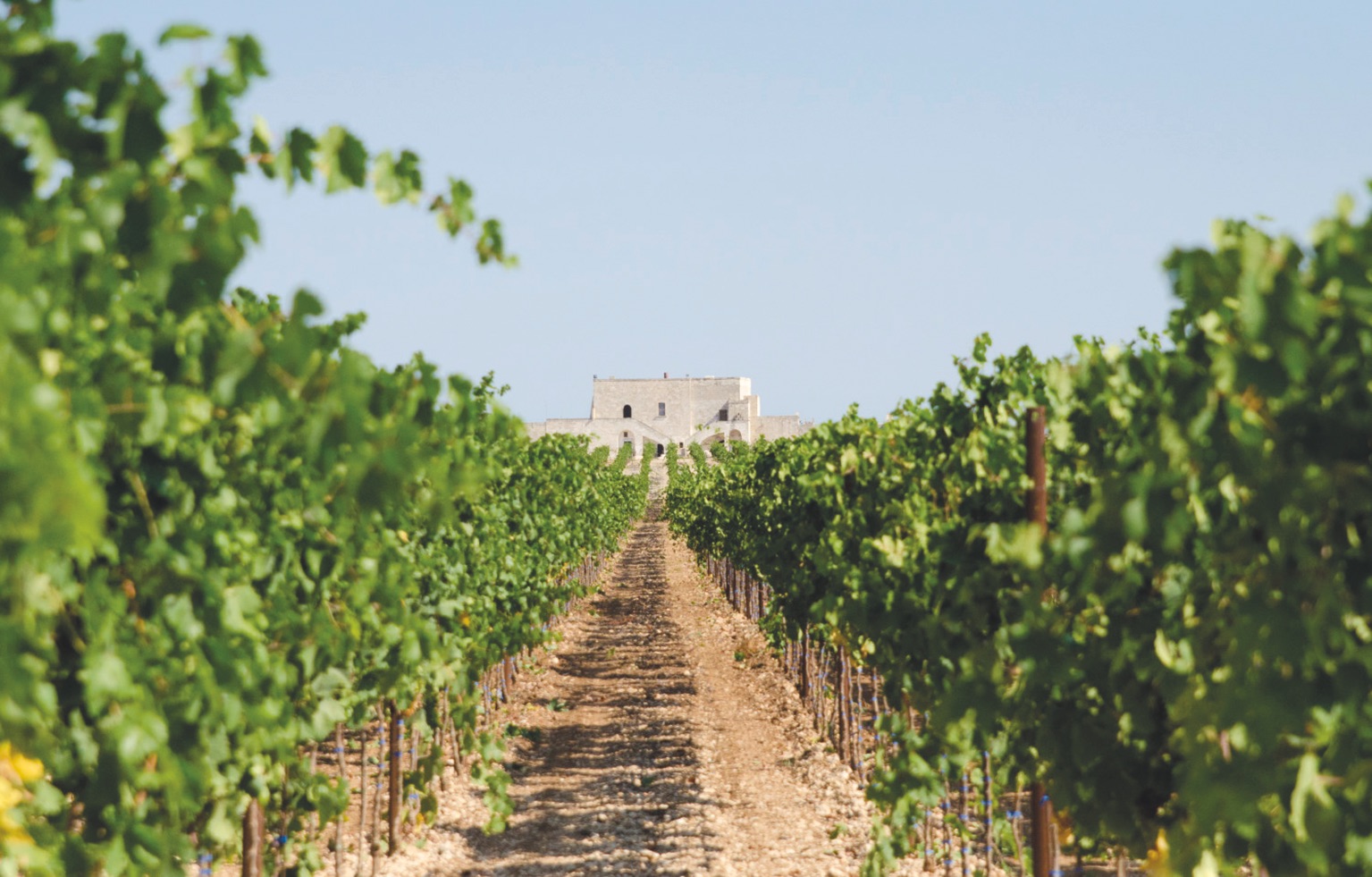 Masseria Samia, Monacizzo-Librari-Truglione — Bild 1