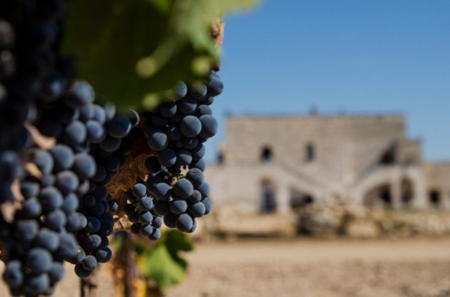 Masseria Samia, Monacizzo-Librari-Truglione — Bild 2