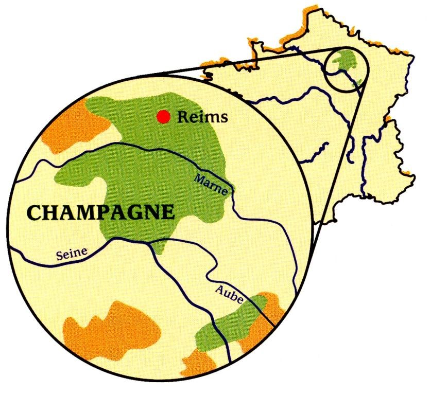 Champagne Louis Roederer, Reims — Bild 1