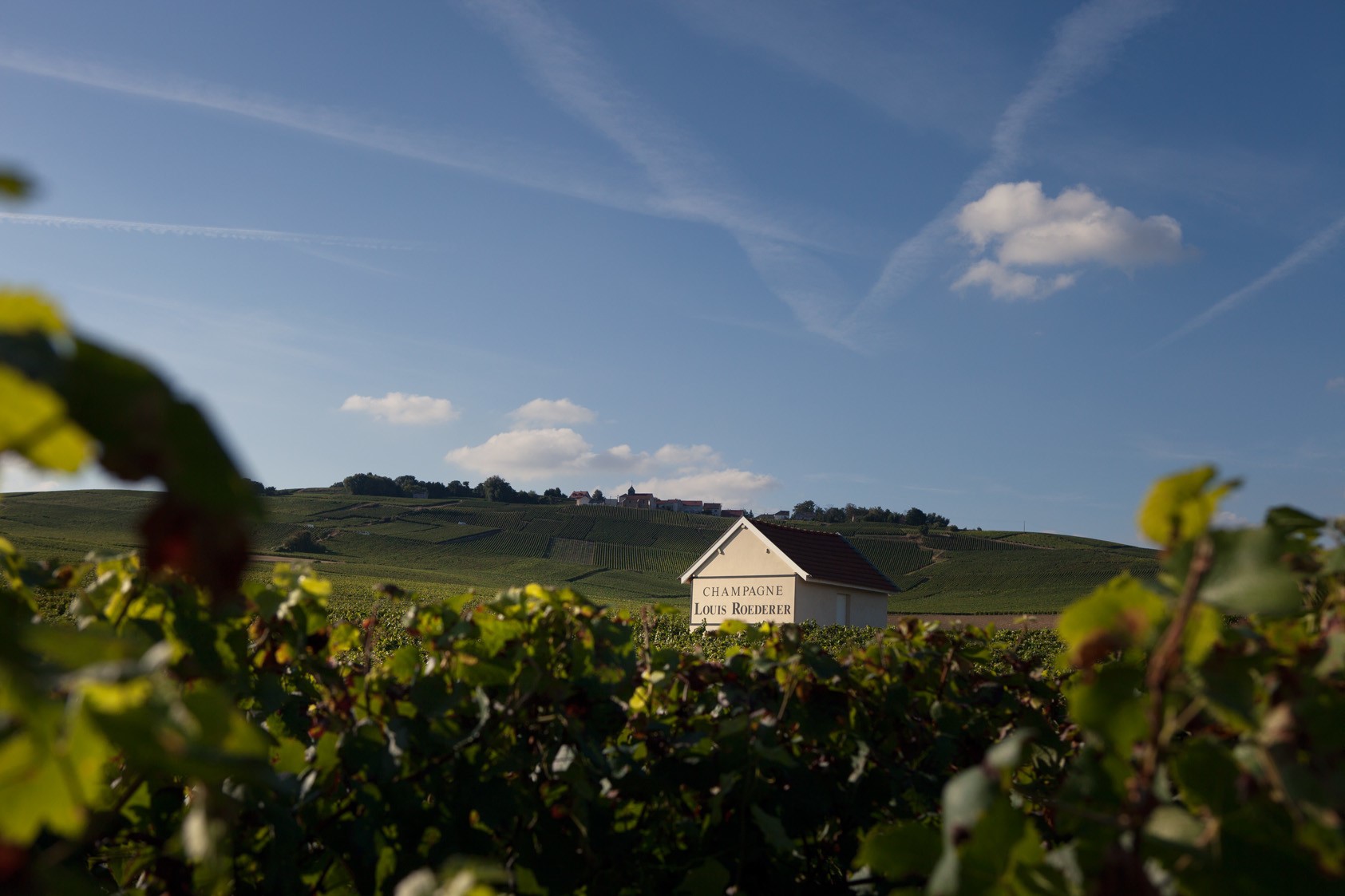 Champagne Louis Roederer, Reims — Bild 3