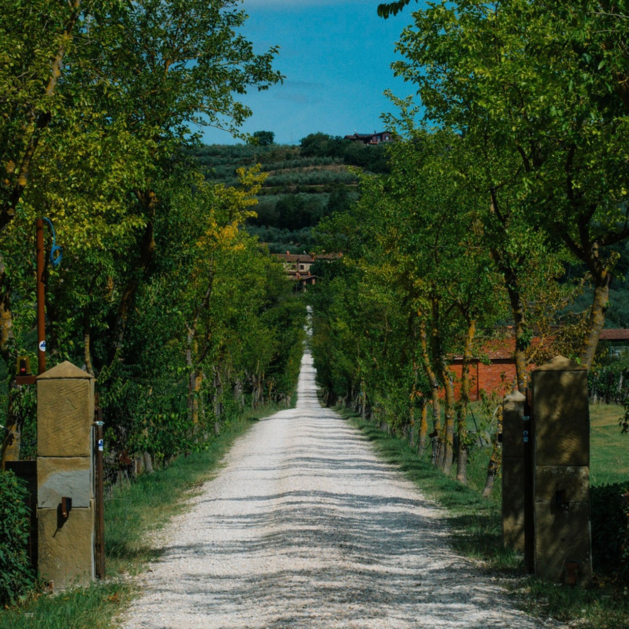 Azienda Agricola Il Palazzo, Arezzo — Bild 3