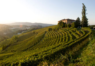 Azienda Vitivinicola Villadoria, Serralunga d'Alba — Bild 2