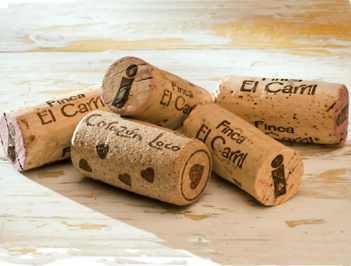 Bodega Iniesta, Fuentealbilla — Bild 2