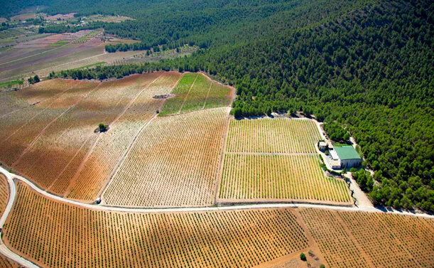 Bodegas Estefanía, Ponferrada — Bild 2