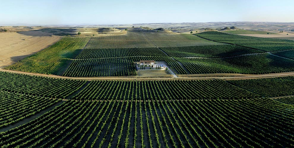 Bodegas Frontaura, Zamora — Bild 1