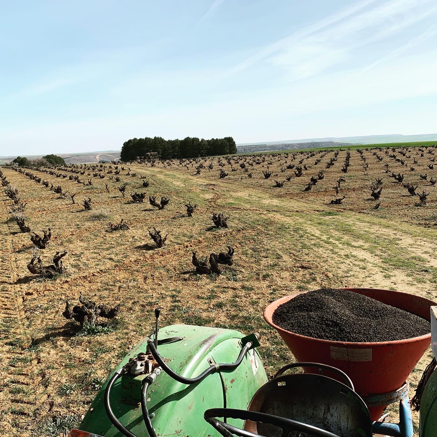 Bodegas y Viñedos Sotero Pintado, Zamora — Bild 3