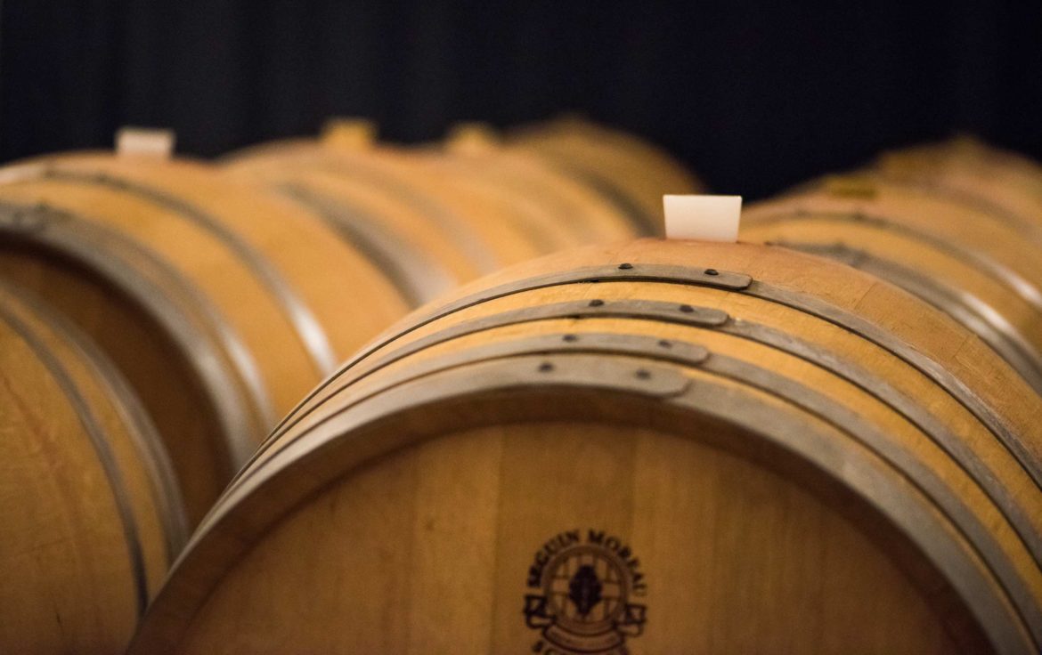 Cantina Amann SA, Contone — Bild 3