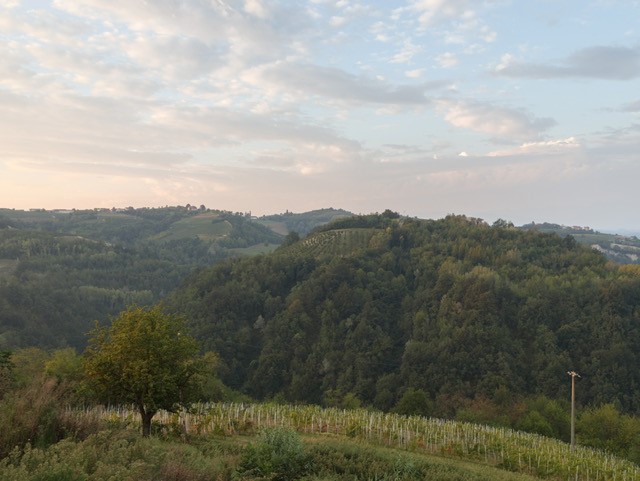 Cantina del Ciabot, Farigliano — Bild 2