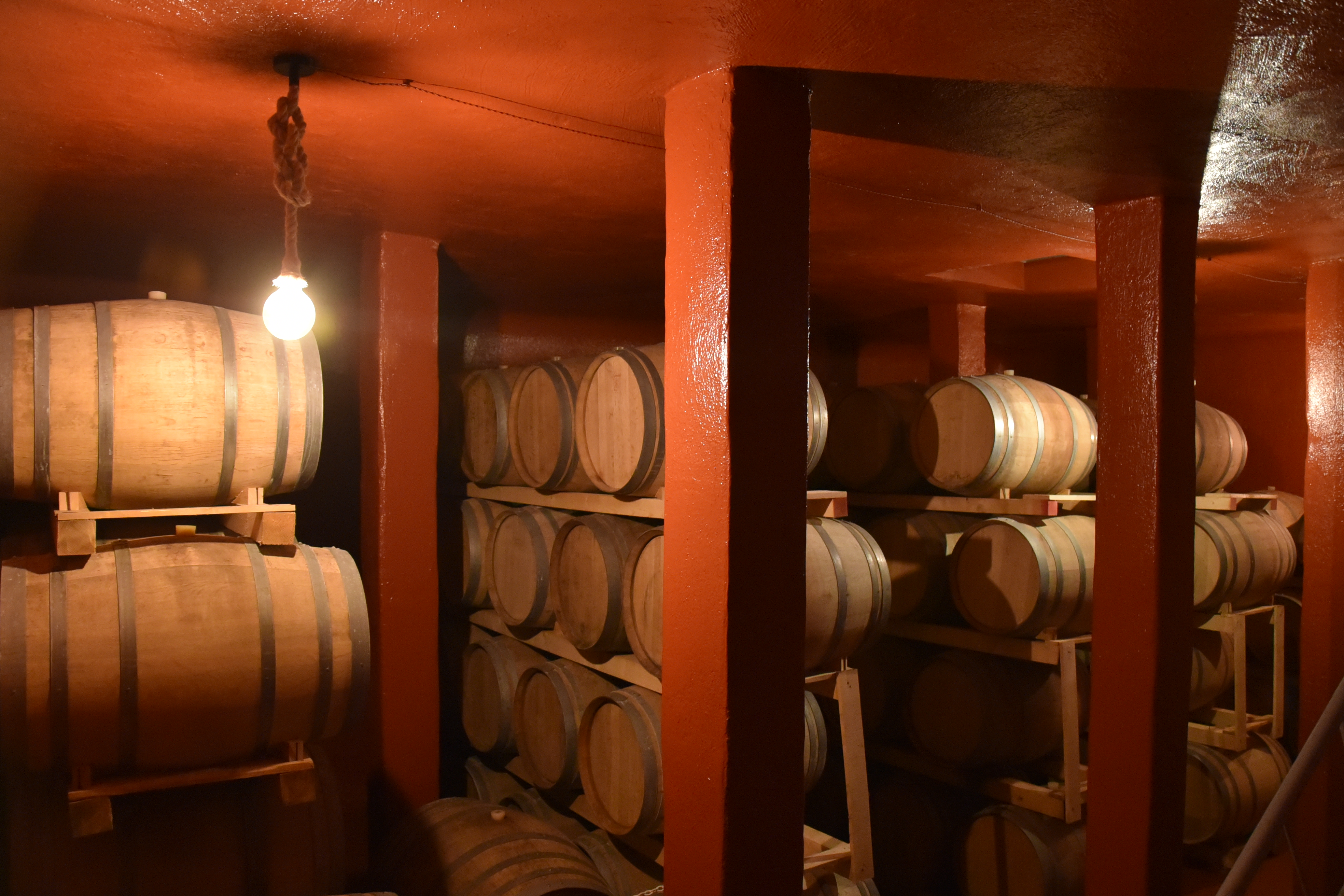 Cantina Sampietrana, San Pietro Vernotico — Bild 3