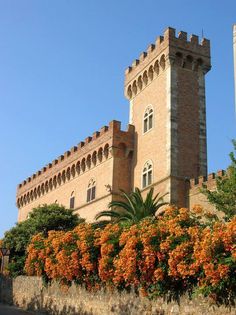 Castello di Bolgheri, Castagneto Carducci — Bild 1