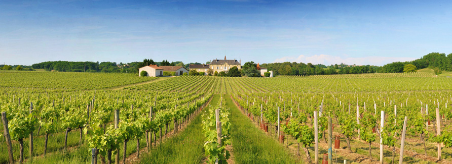 Château Coucy, Montagne — Bild 2