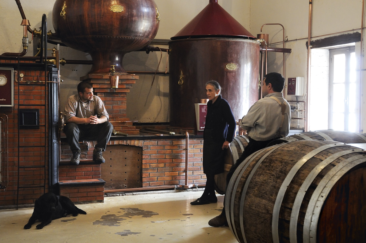 Cognac Lhéraud, Angeac-Charente — Bild 1