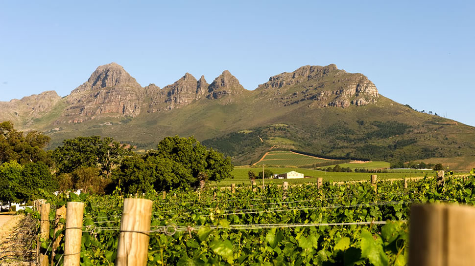 Eikendal Vineyards, Stellenbosch — Bild 2