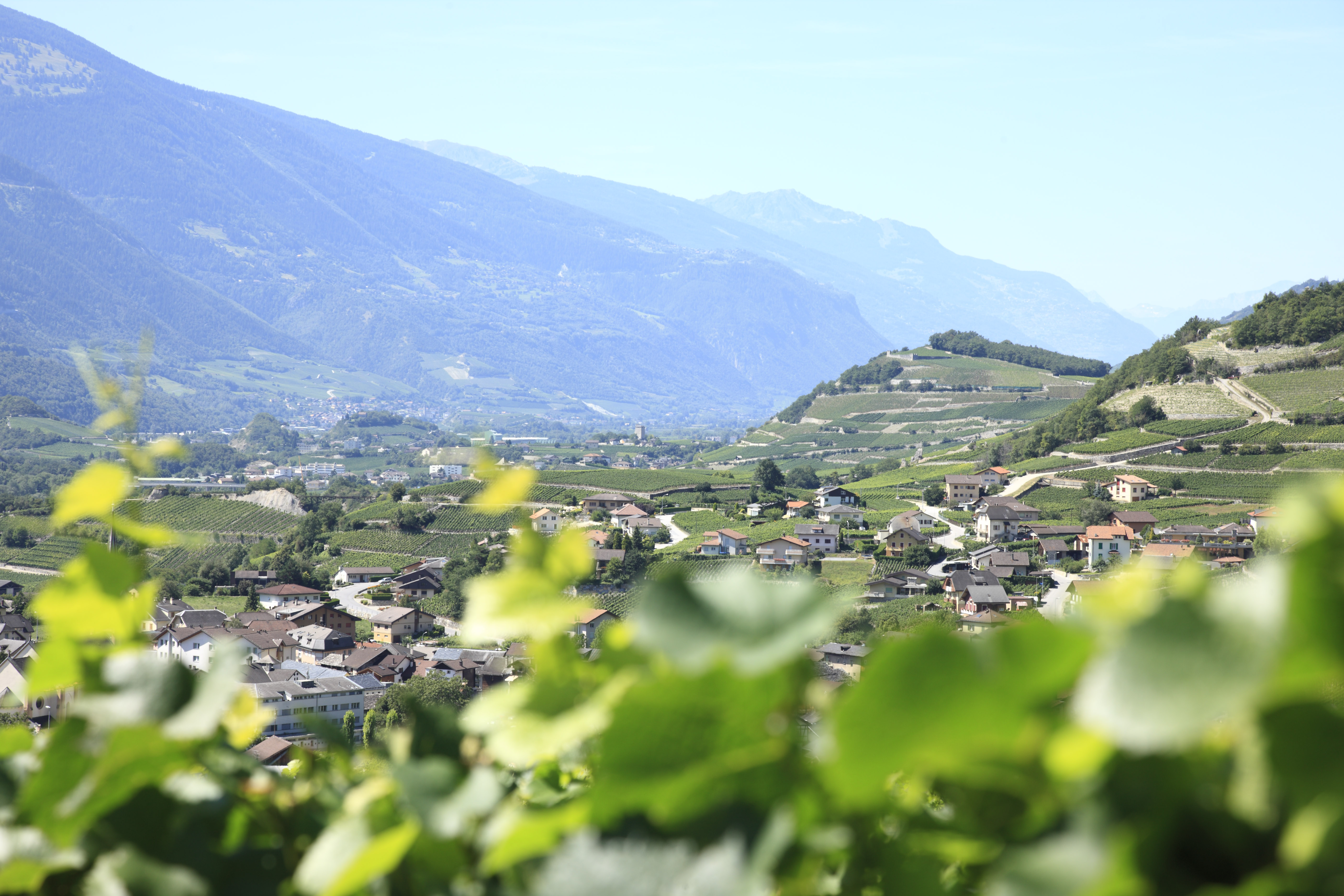 Fam.Pierre-Alain Mathier, Vins et Vignobles Julius SA, Salgesch — Bild 3