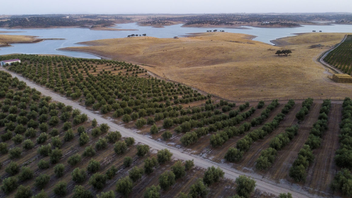 Herdade dos Coteis, Moura — Bild 2