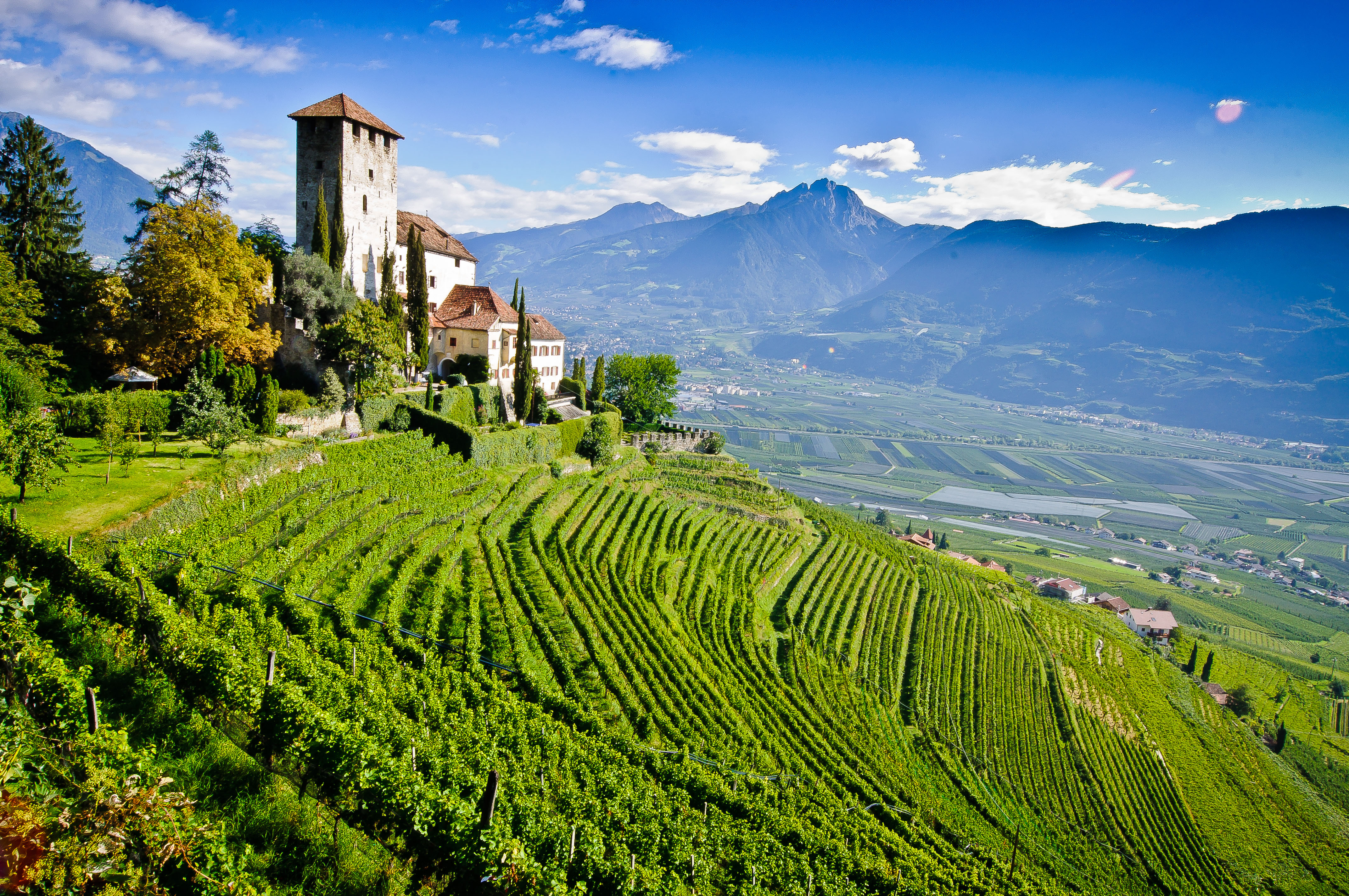 Kellerei Meran, Marling, Südtirol (Alto Adige) — Bild 1