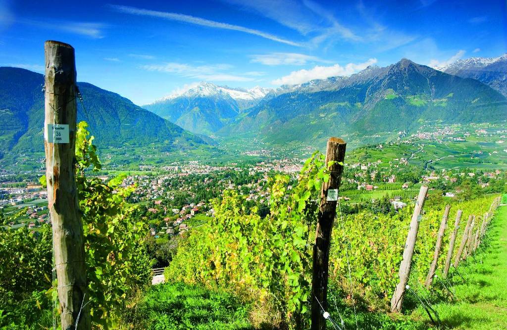 Kellerei Meran, Marling, Südtirol (Alto Adige) — Bild 2