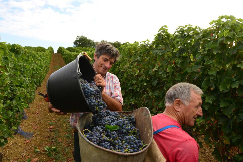 Les Vignerons du Brulhois, Dunes — Bild 1