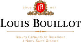 Louis Bouillot, Nuits-Saint-Georges