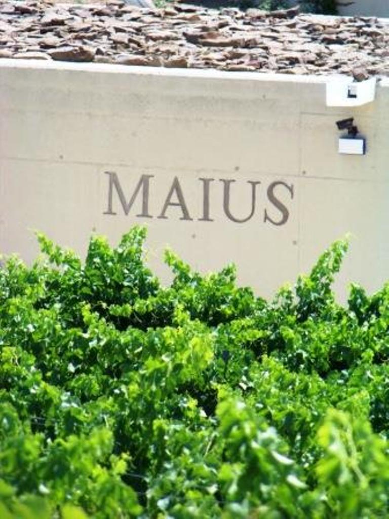 Maius Viticultors, La Morera de Montsant — Bild 1