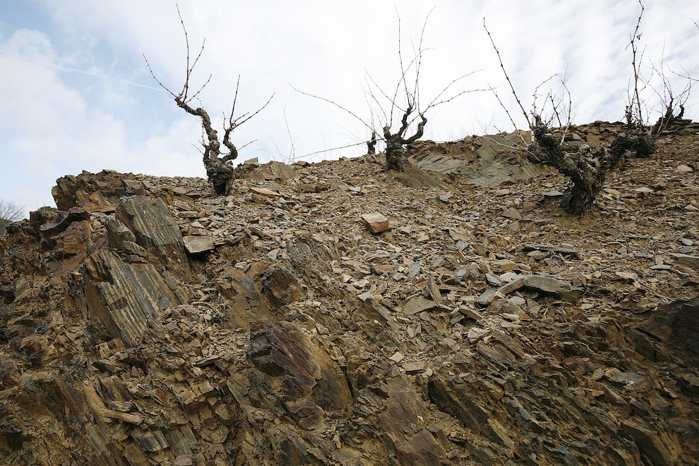 Maius Viticultors, La Morera de Montsant — Bild 3