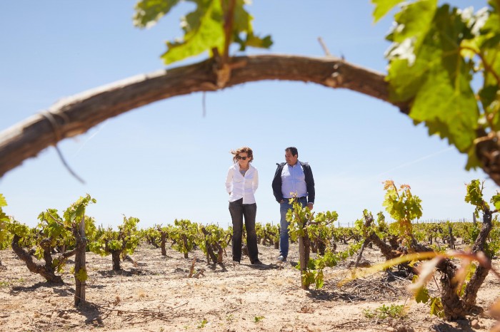Bodegas Nexus, Pesquera de Duero — Bild 2