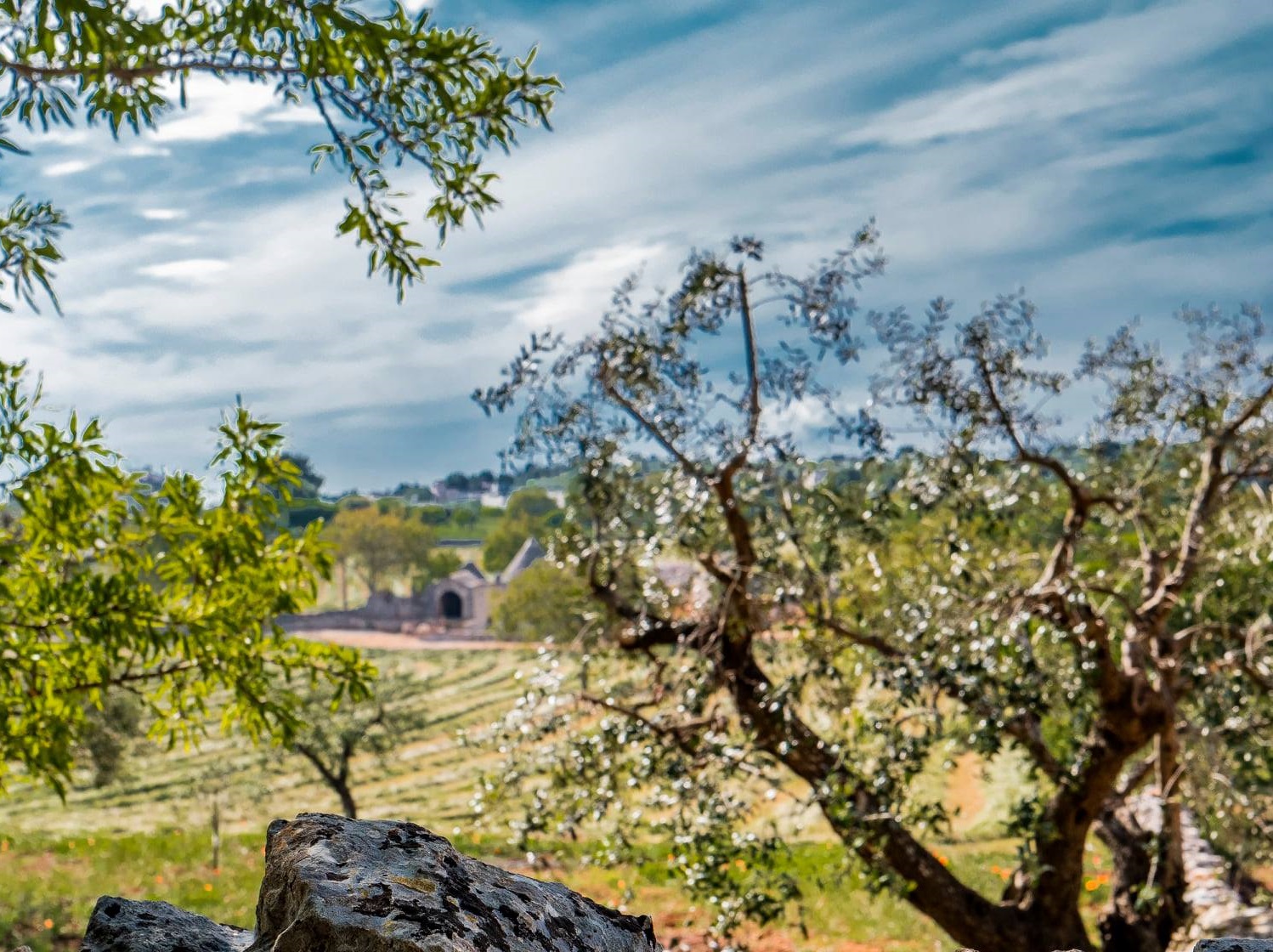 Passolino CA feat. Masseria Tagaro di Lorusso, Fasano — Bild 2