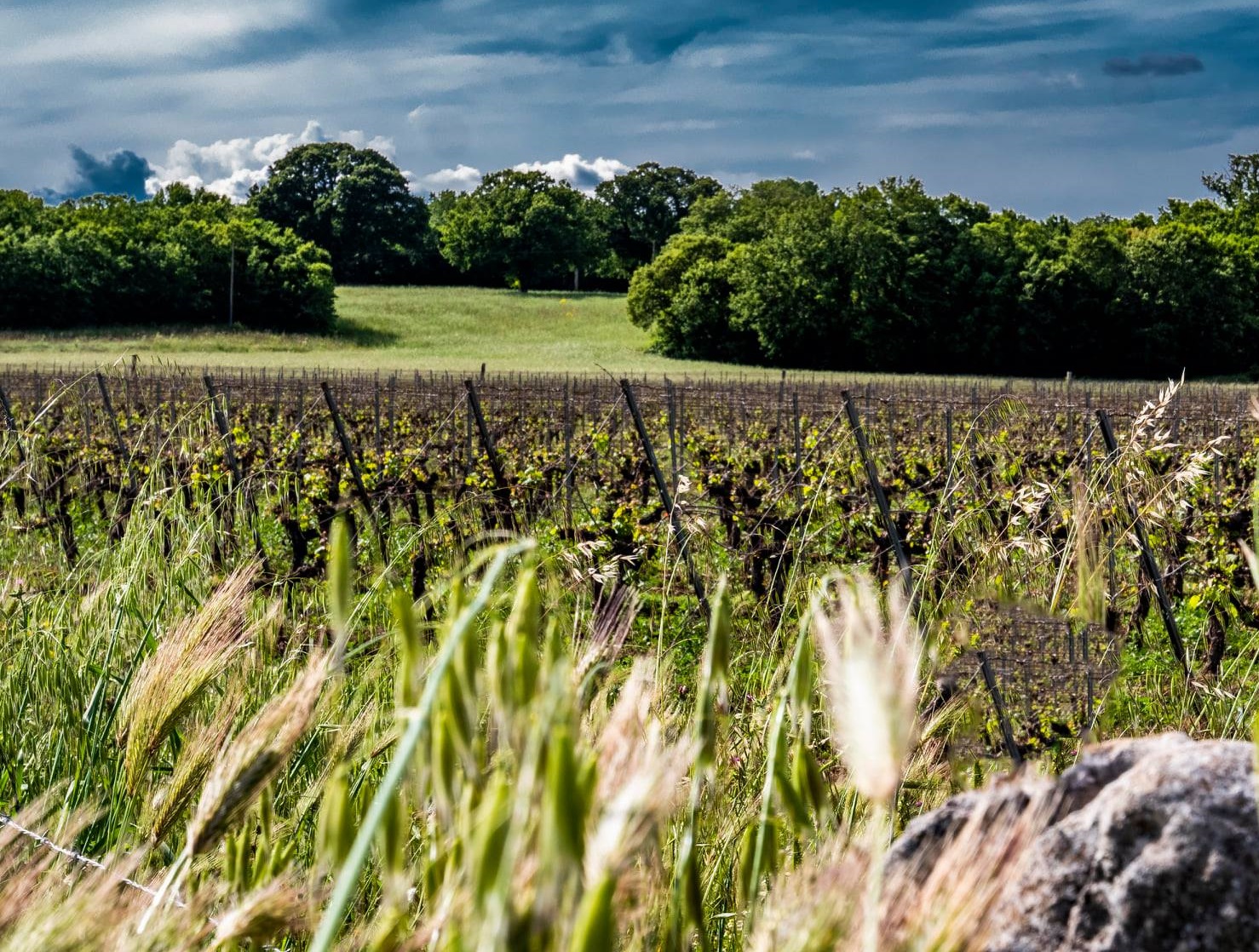 Passolino CA feat. Masseria Tagaro di Lorusso, Fasano — Bild 3