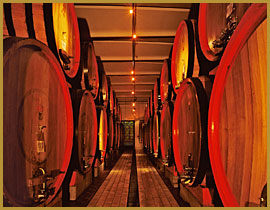 Tenuta Pietranera, Montalcino — Bild 2