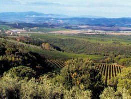 Tenuta Pietranera, Montalcino — Bild 3