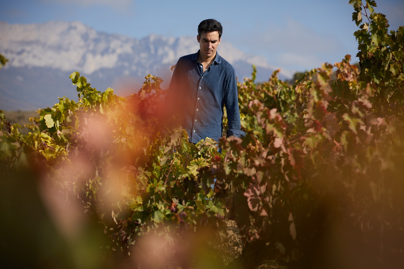 Ukan Winery, Laguardia — Bild 1