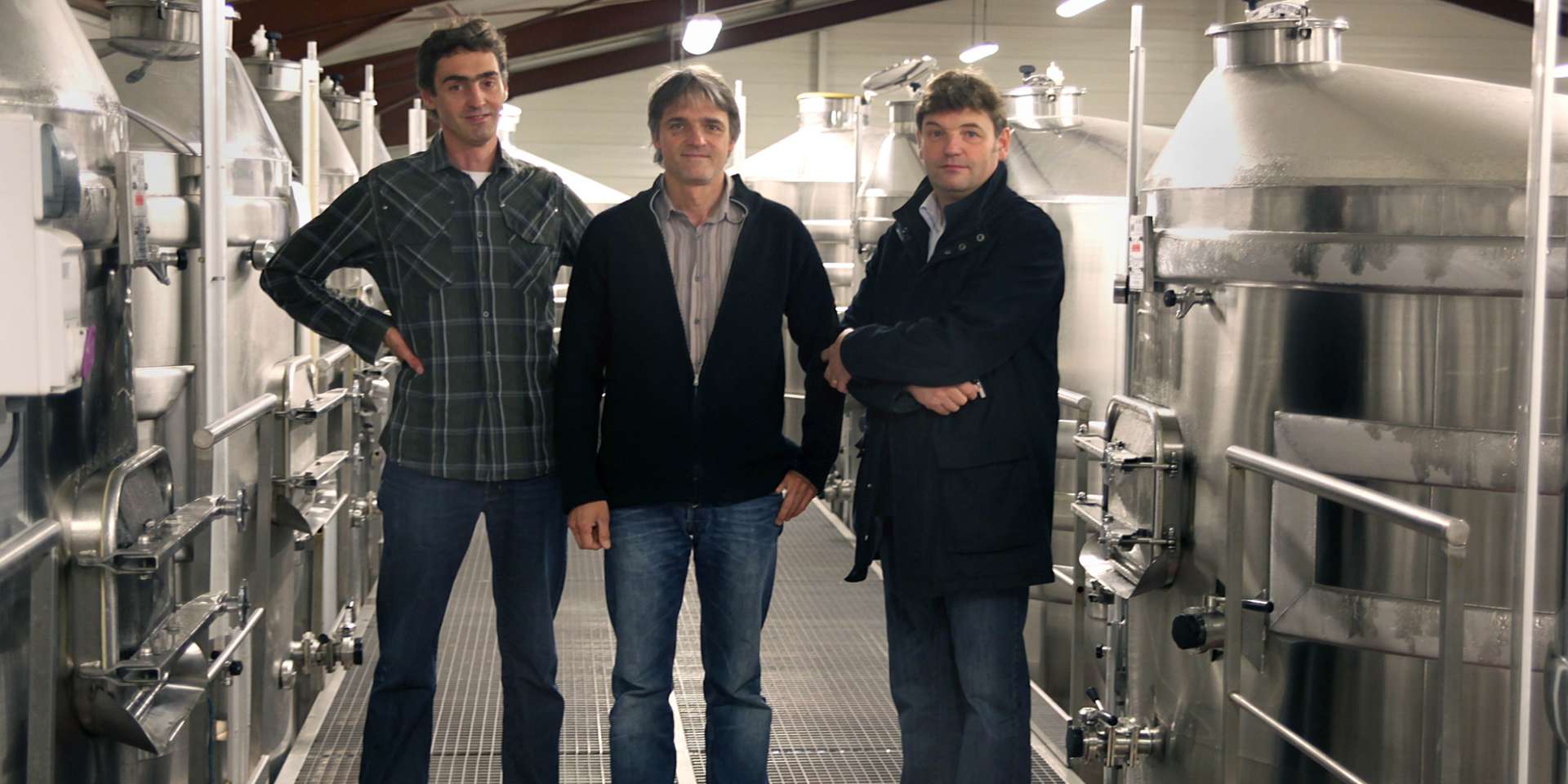 Vignoble Dampt Frères, Collan — Bild 2