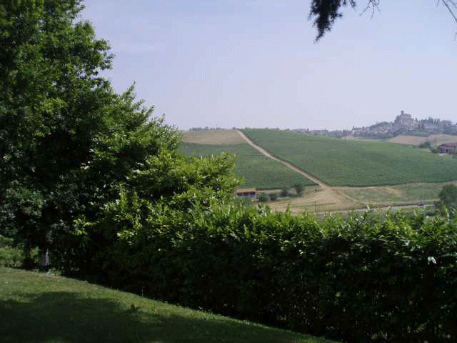Villa Carena CA feat. various producers, Canale & Serralunga d'Alba — Bild 3