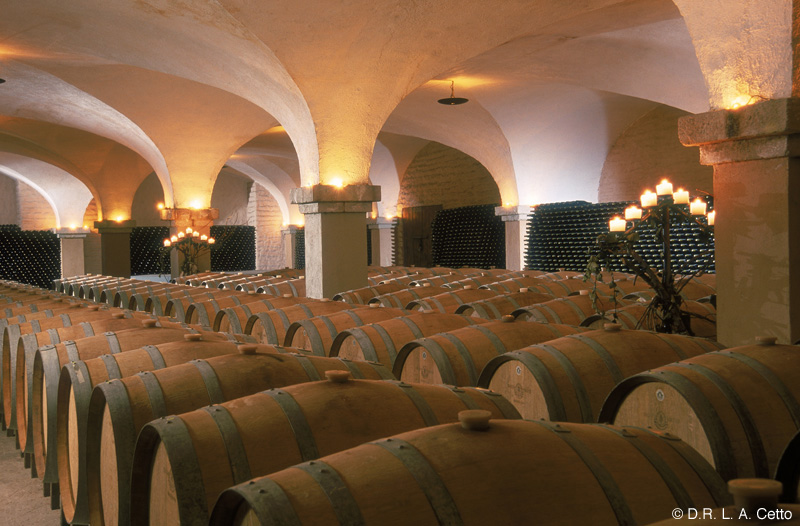 Vinicola L.A. Cetto, Guadalupe — Bild 1