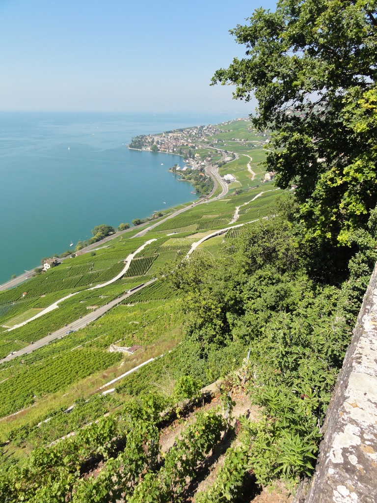 Vins et Vignobles Les Tourelles SA, Puidoux — Bild 2
