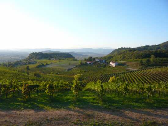 Cantina Colli Euganei, Vò — Bild 1