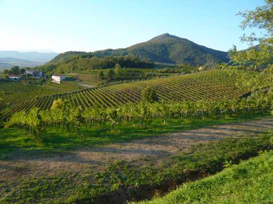 Cantina Colli Euganei, Vò — Bild 3